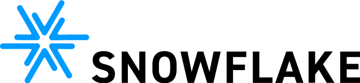 Unser Snowflake Logo (Schwarzer Schriftzug in Grossbuchstaben)